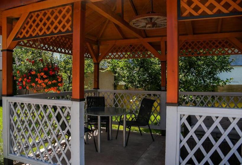 Pensiunea Clasic Hunedoara