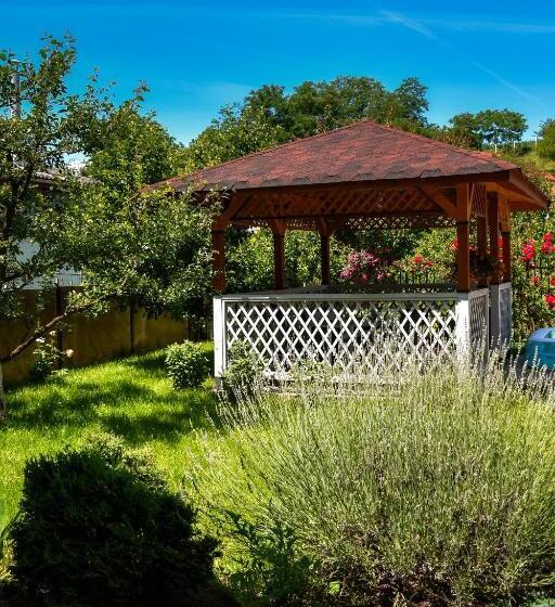 Pensiunea Clasic Hunedoara