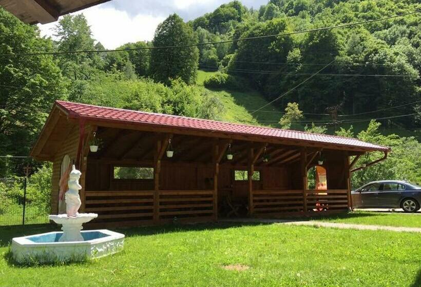 Pensiunea Silva Dobra