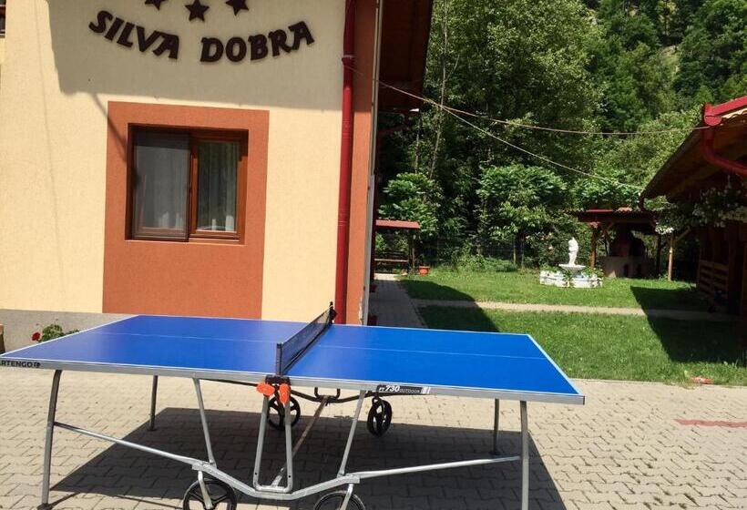 Pensiunea Silva Dobra