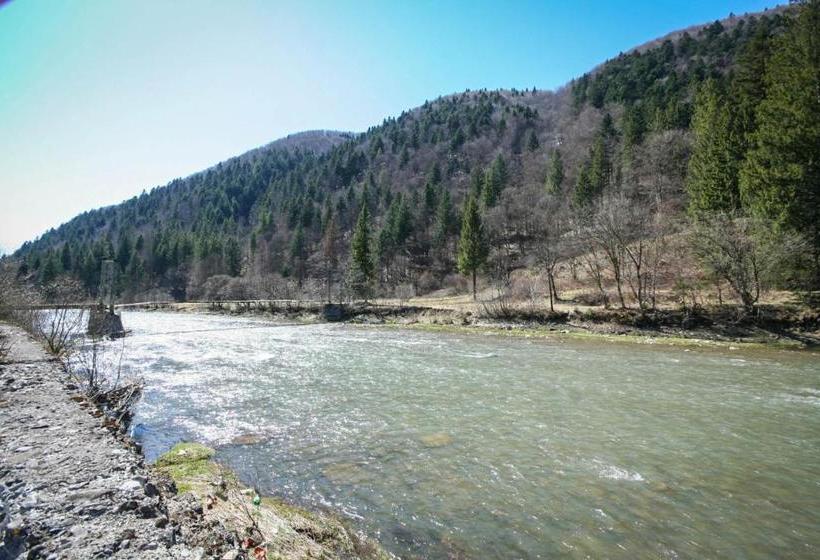 리조트 Sanatorium Verhovyna