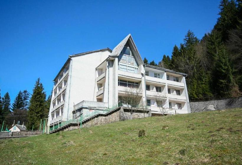 리조트 Sanatorium Verhovyna