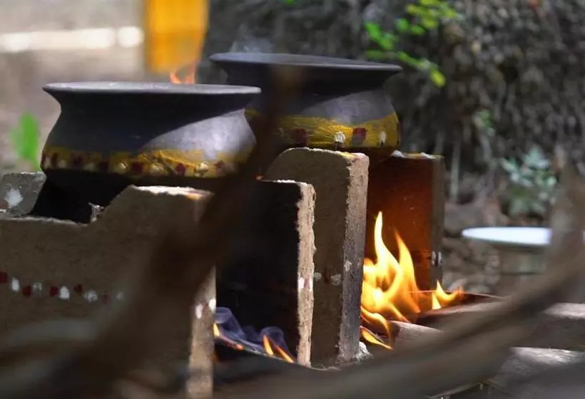 Lomakeskus Sterling Palavelli Godavari