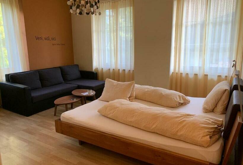 فندق صغير Krone Sihlbrugg