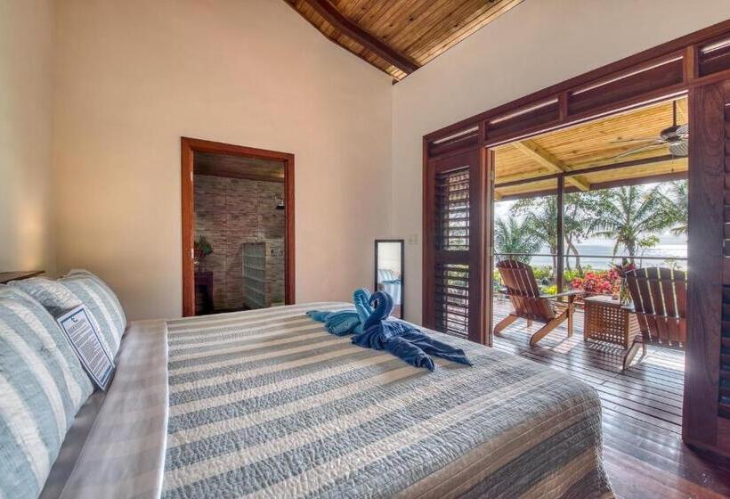 تختخواب و صبحانه Oasis Bluff Beach