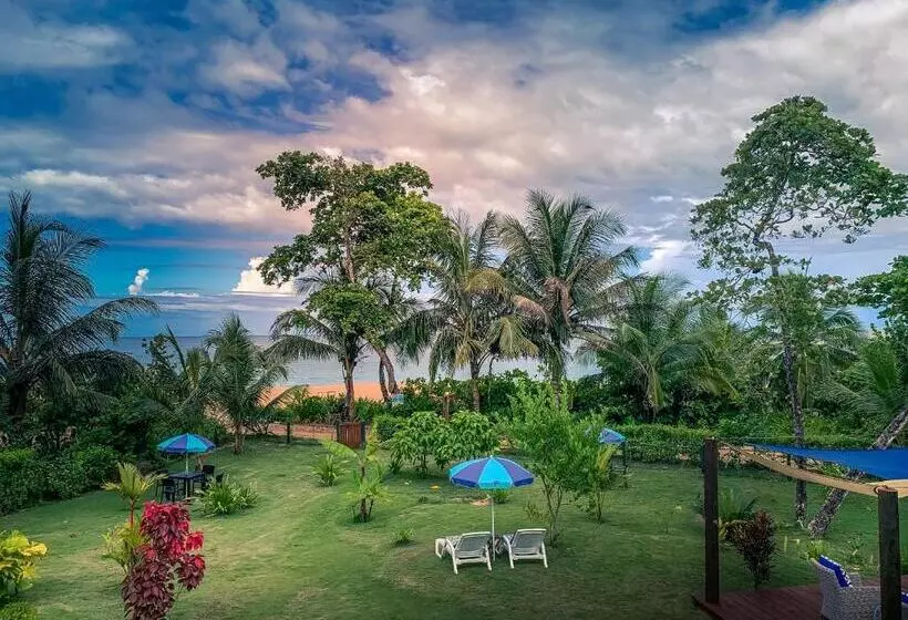 ベッドアンドブレックファースト Oasis Bluff Beach