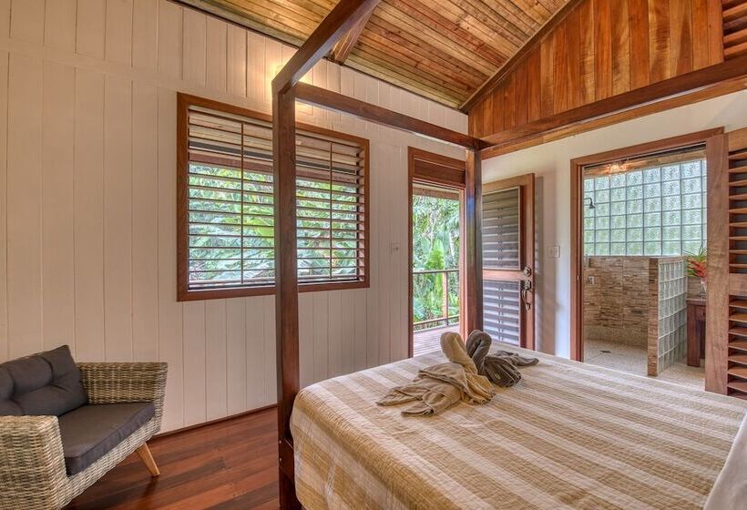 تختخواب و صبحانه Oasis Bluff Beach