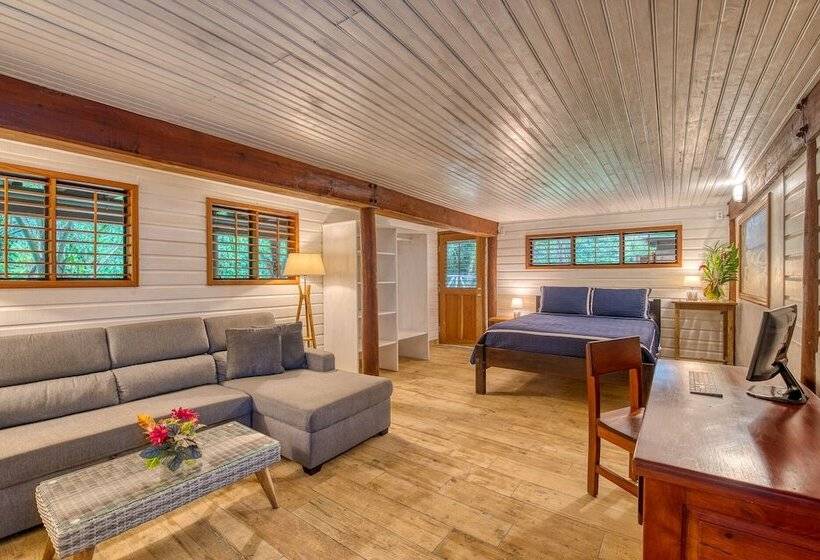 تختخواب و صبحانه Oasis Bluff Beach