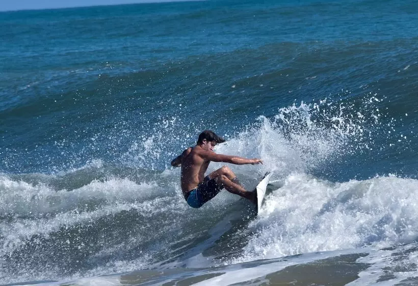 ベッドアンドブレックファースト Oasis Bluff Beach