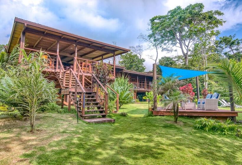 تختخواب و صبحانه Oasis Bluff Beach