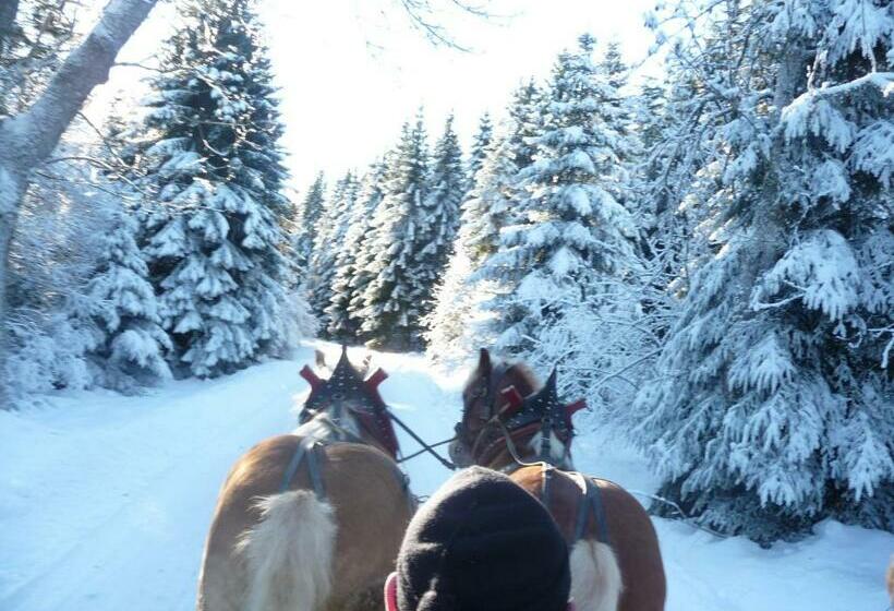 Höhenpension Glashütte Bed&breakfast Frühstückspension Hotel Garni