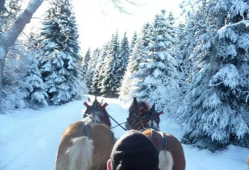 Höhenpension Glashütte Bed&breakfast Frühstückspension Hotel Garni