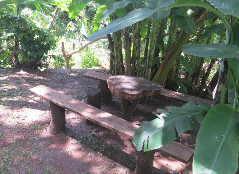 فندق Agua Blanca