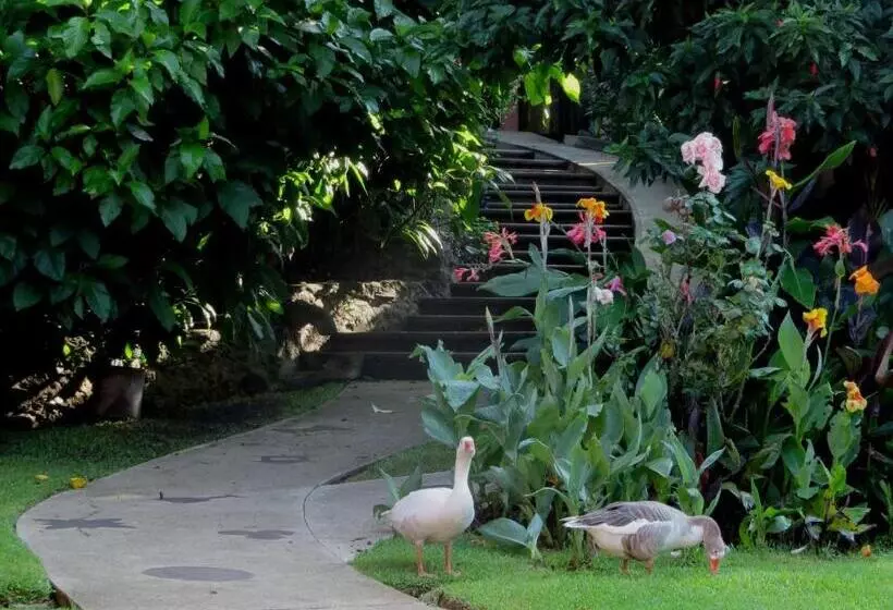 ホテル Agua Blanca