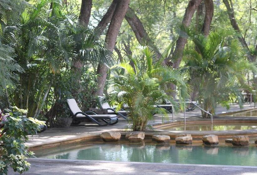 فندق Agua Blanca