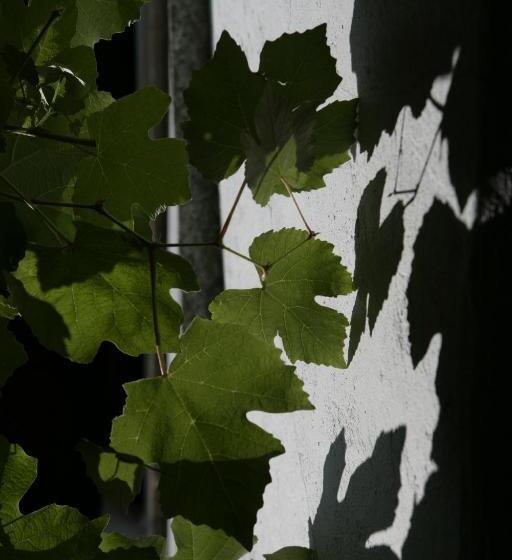 Hotel Albergo Casa Santo Stefano