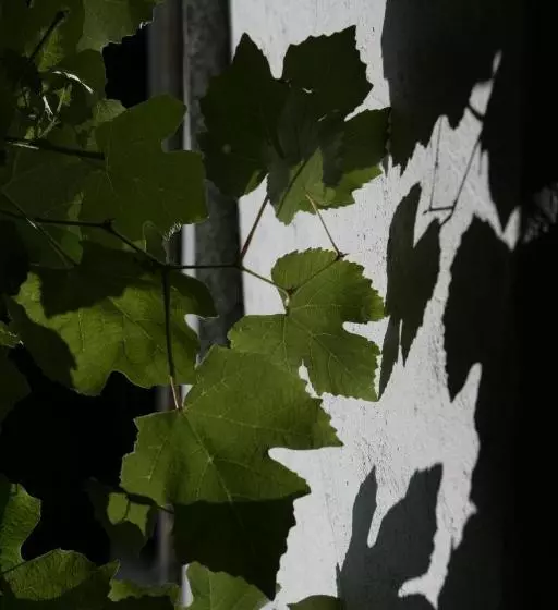 Hotelli Albergo Casa Santo Stefano