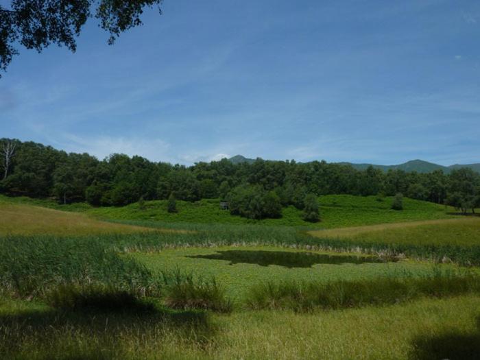 酒店 Albergo Casa Santo Stefano