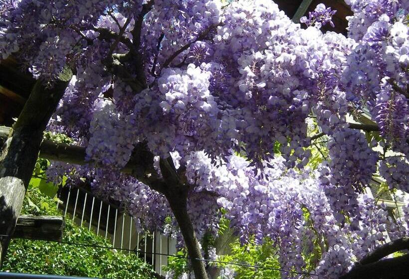 Hotel Albergo Casa Santo Stefano