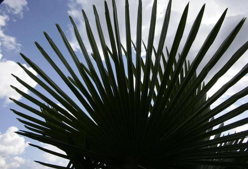 Hotel Albergo Casa Santo Stefano