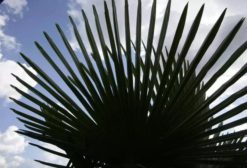 Hotelli Albergo Casa Santo Stefano