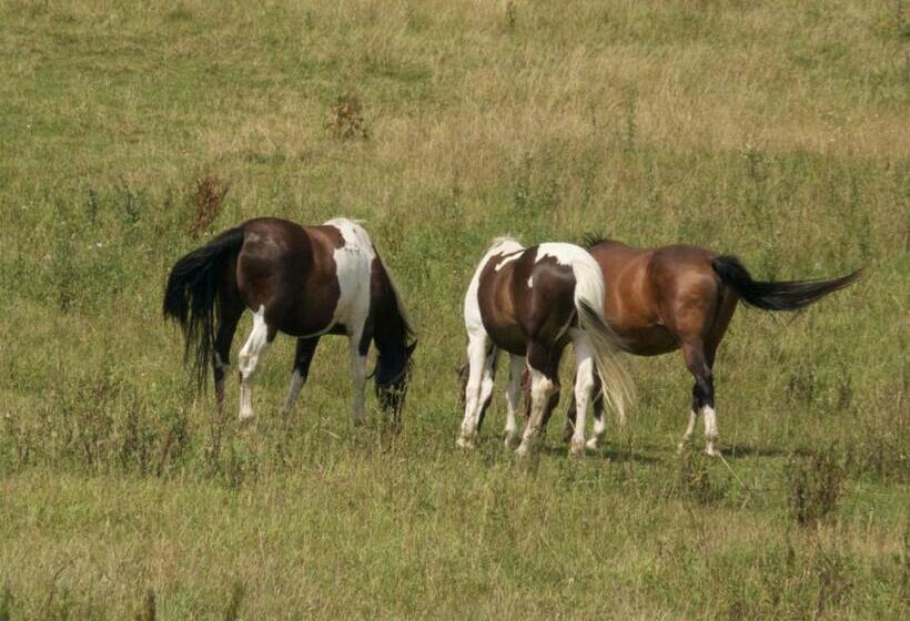 Szálloda Farma Zahradnice