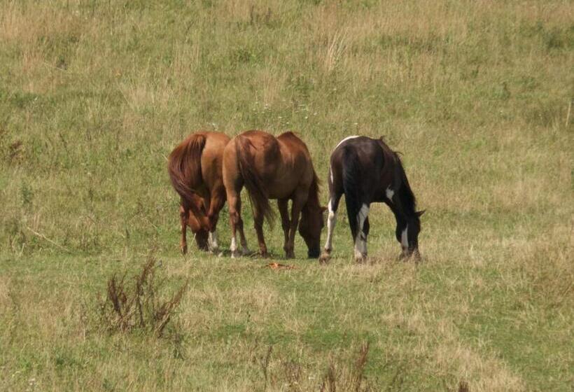 Szálloda Farma Zahradnice