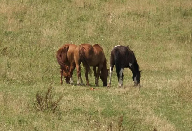 هتل Farma Zahradnice