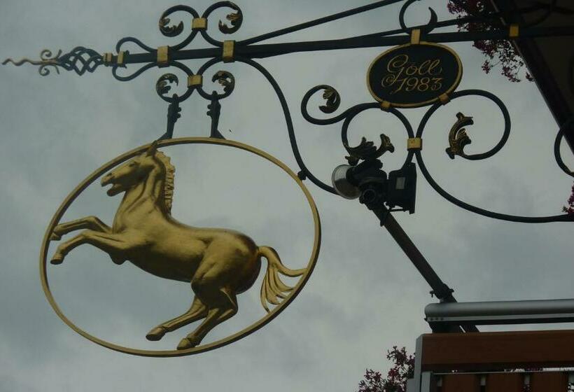 בית מלון כפרי Gasthof Rössle