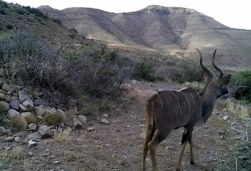 ホテル Kalkfontein Guesthouse