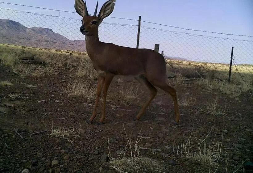 ホテル Kalkfontein Guesthouse