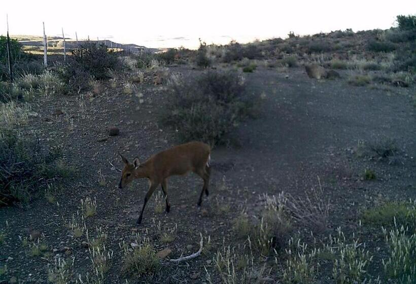 فندق Kalkfontein Guesthouse