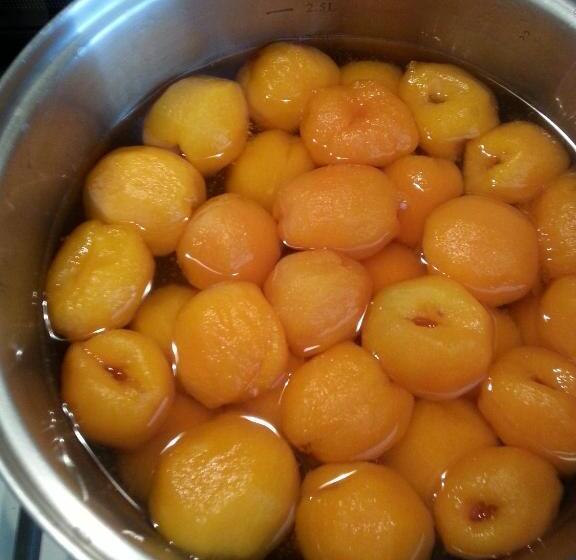 فندق Pensiunea Agroturistica Ioana