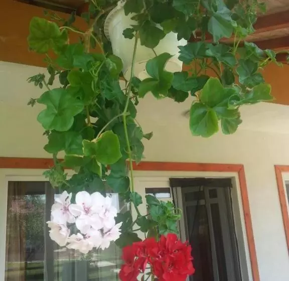 هتل Pensiunea Agroturistica Ioana