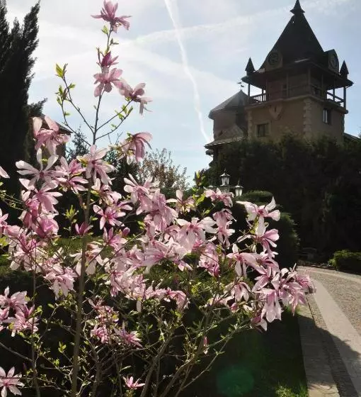 Hotelli Resort&spa Kamelot