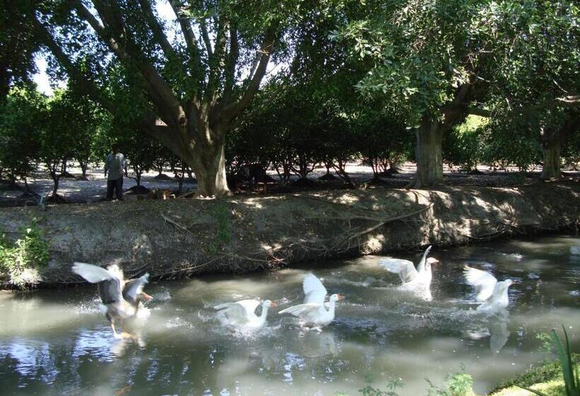 Los Naranjos Hotel Boutique