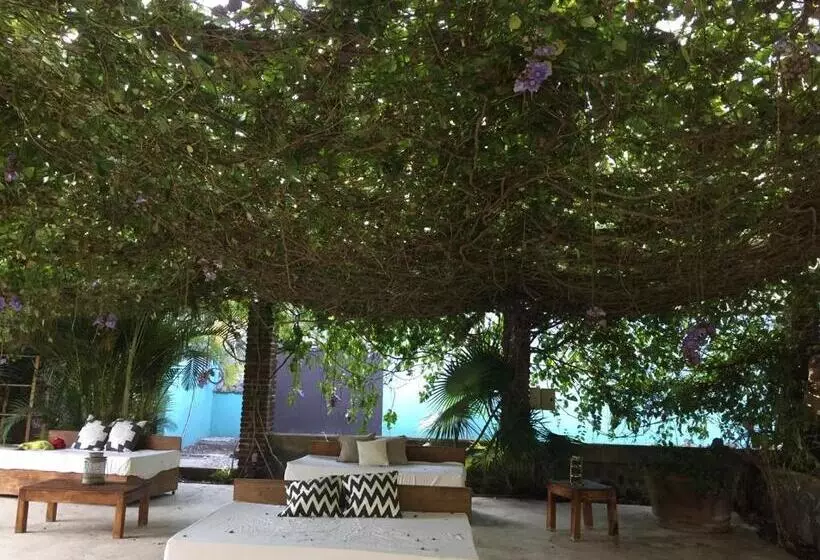 Los Naranjos Hotel Boutique