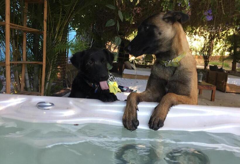 Los Naranjos Hotel Boutique