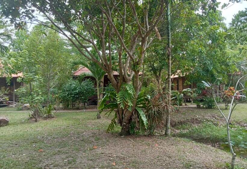 膳宿费 Ban Ban Bangalow