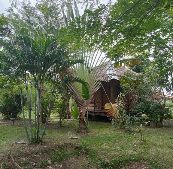 膳宿费 Ban Ban Bangalow