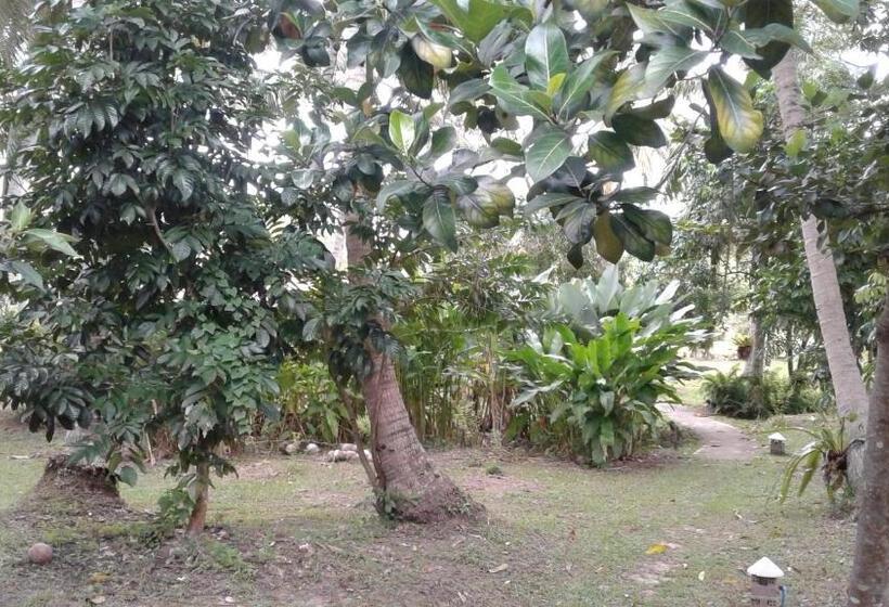 膳宿费 Ban Ban Bangalow