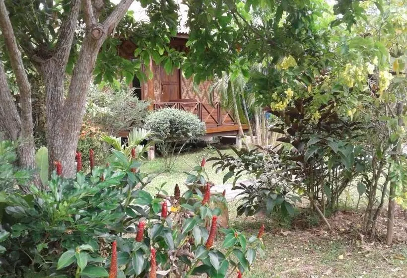 ペンション Ban Ban Bangalow