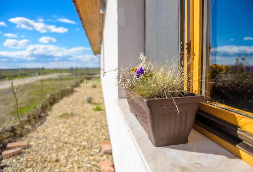 Pensjonat Centru De Recreere Kentaur