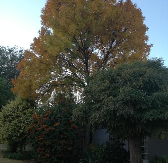 Пансион Dekat Self Catering