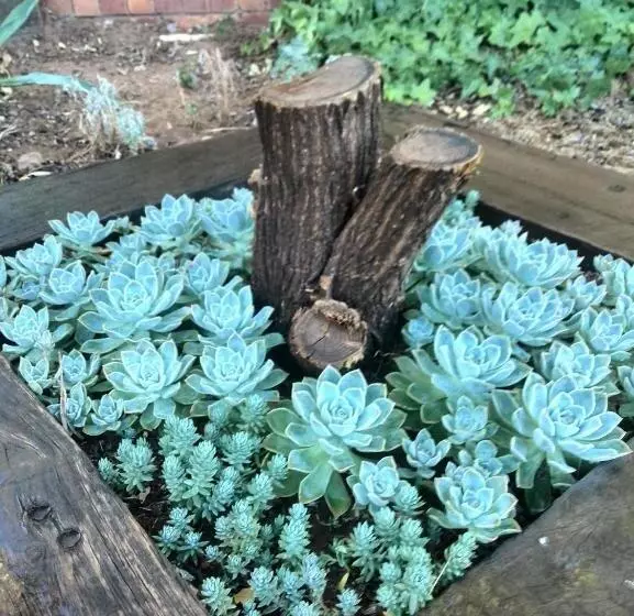 Majatalo Dekat Self Catering