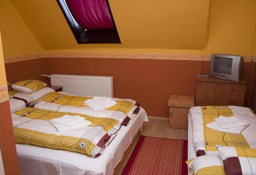 بنسيون Erdős Vendégház