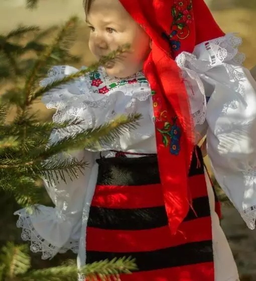 Majatalo Plai Cu Peri