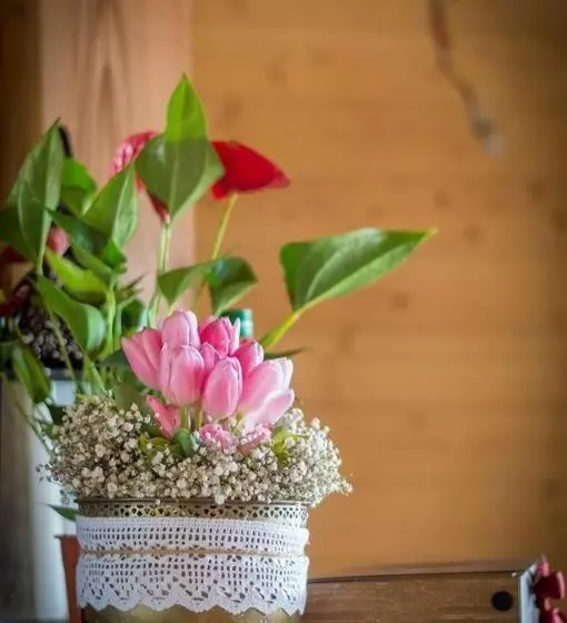 Majatalo Plai Cu Peri