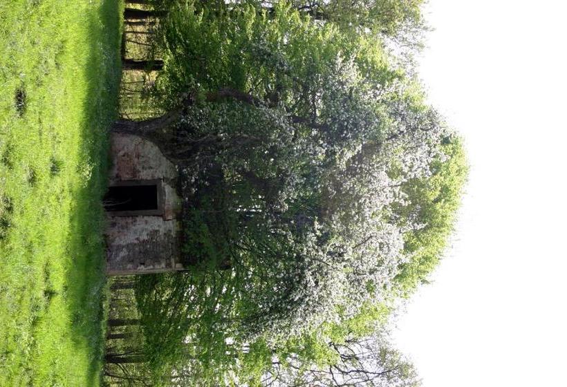 Пансион Zur Krone