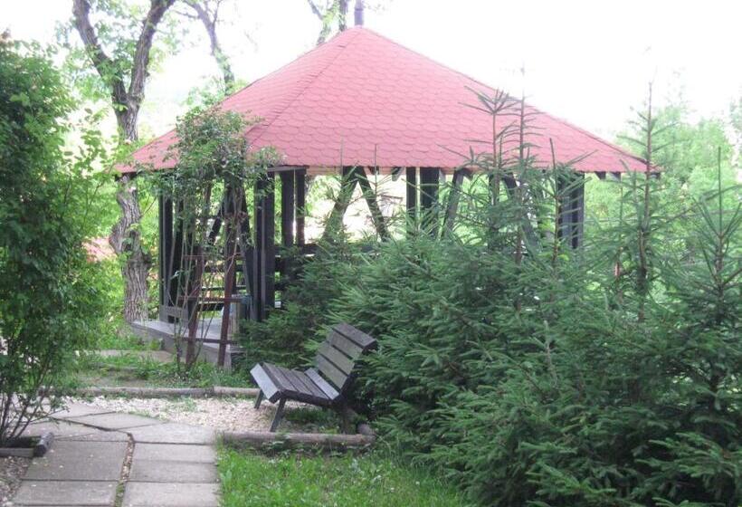 Pensiunea Comarnic Moisa